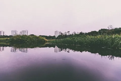 建筑物、草地、池塘、倒影、水、自然、河流、湖泊 建筑物、草地、池塘、倒影、水、自然、河流、湖泊