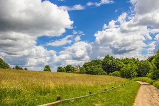 公园，家园，俄罗斯，博物馆，普什金斯基，植物，云天，天空