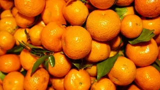 柑橘类水果，水果，食品，植物，橙子，柠檬，农产品，葡萄柚