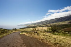 碧蓝白日下绿草场旁的沙路