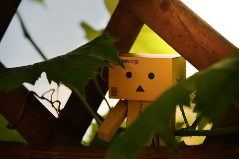 丹波,篱笆,树叶,树叶,绿色,植物,自然,棕色 丹波,篱笆,树叶,树叶,绿色,植物,自然,棕色