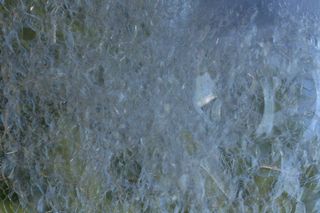 背景, 空灵, 气泡, 全画幅, 水, 没有人, 自然