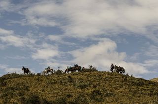 arrieros，秘鲁安第斯山脉，安第斯山脉日落，哺乳动物，云天，天空，动物群，家畜