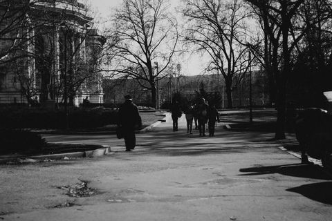 保加利亚, 索非亚, 步行, 穆迪, 黑色, 人, Hite, 中心