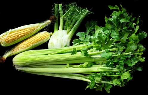 蔬菜、芹菜、茴香、玉米、新鲜、素食、烹饪、蔬菜 蔬菜、芹菜、茴香、玉米、新鲜、素食、烹饪、蔬菜