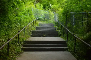 密尔沃基，美国，栏杆，锈迹斑斑，老旧，栅栏，楼梯，灌木