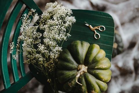 绿色南瓜俯视图