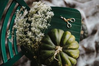 绿色南瓜俯视图