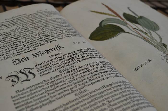 书, 老, 图书馆, 拉丁语, 出版物, 文本, 通讯, 纸