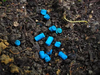 蜗牛毒，支票簿粮食，蓝色，粮食，有毒，农业，花园，园艺