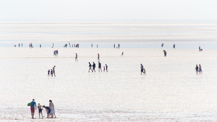 人，身体，水，海边，夏天，海岸，海滩，海，夏天