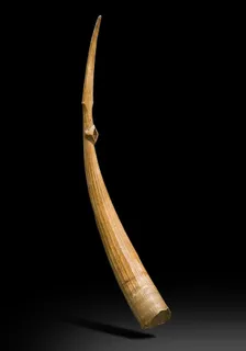 象牙色、非洲、防务、摄影棚拍摄、室内、单一物体、黑色背景、无人