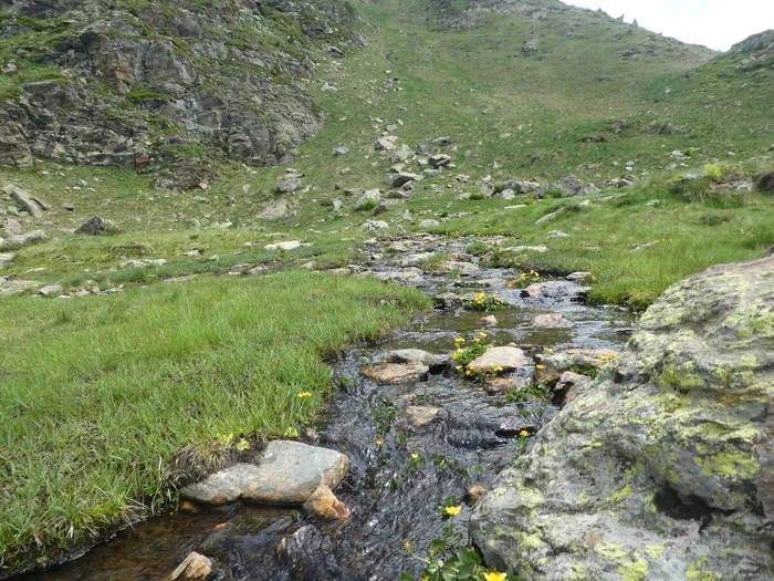 河流，山脉，安道尔，植物，岩石，自然之美，宁静，风景-自然