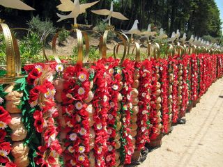 美丽，美丽的花朵，盛开，盛开，盛开，明亮，庆祝，仪式