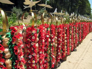 美丽，美丽的花朵，盛开，盛开，盛开，明亮，庆祝，仪式