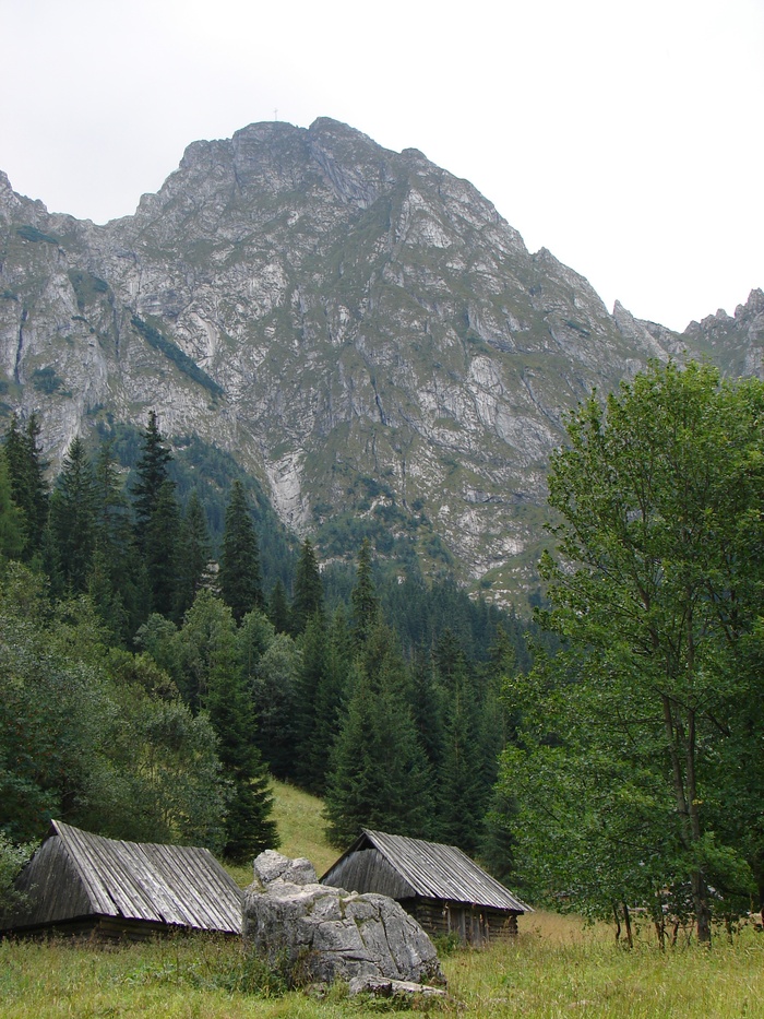 山，山，顶，自然，塔特拉，波兰，小屋，草