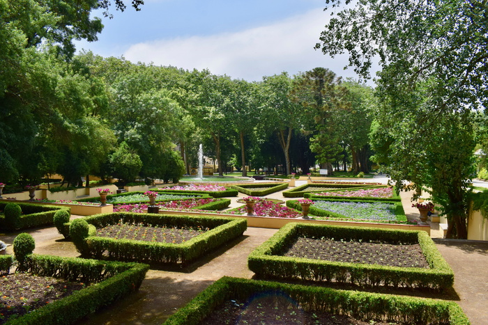 葡萄牙，马夫拉，马夫拉国家宫殿，花园，花卉，完美，宫殿，植物