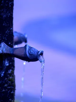 水、珍珠、湿、液体、运动、冷、饮料、泡沫