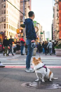 男子站在狗旁边牵着狗皮带
