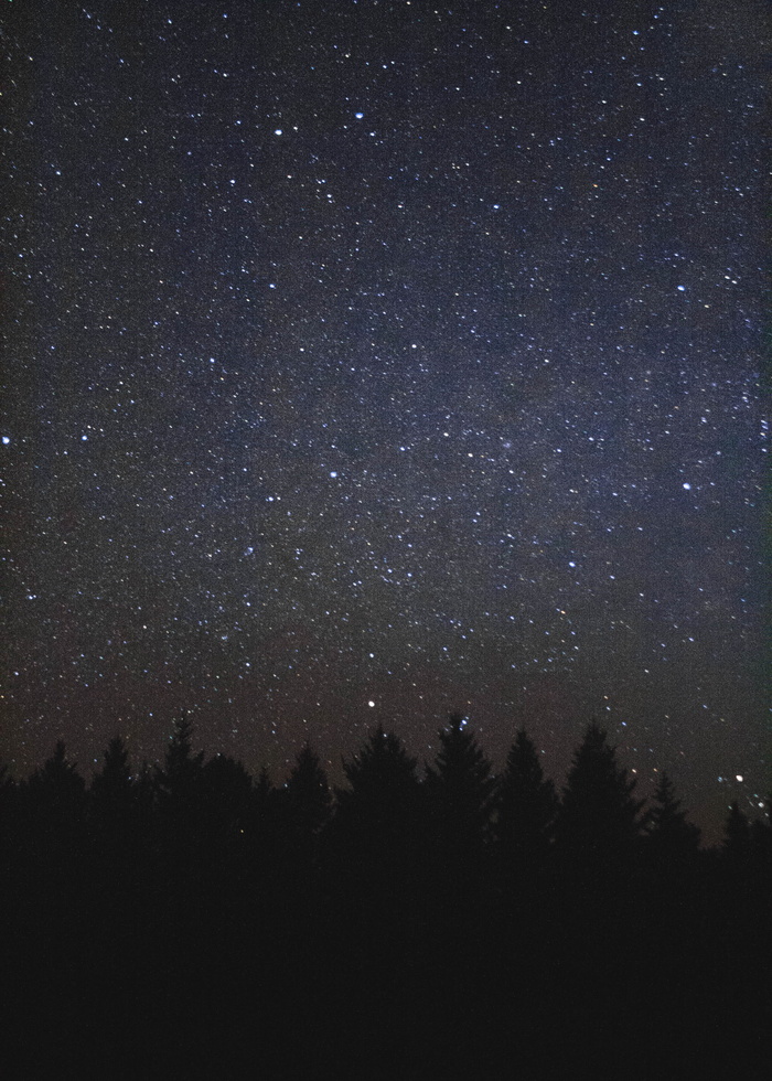 加拿大，萨斯喀彻温省，恒星，树木，褪色，恒星-太空，天文学，太空