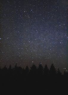 加拿大，萨斯喀彻温省，恒星，树木，褪色，恒星-太空，天文学，太空