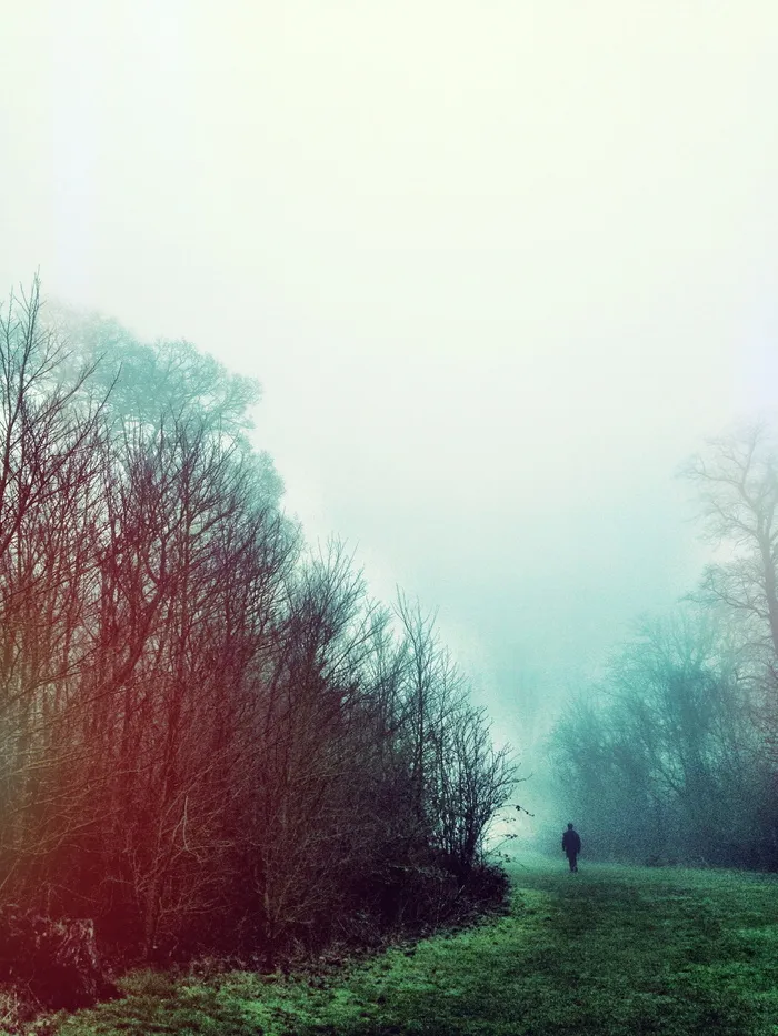 风景摄影，人，行走，小径，树木，雨云，行走，雨云