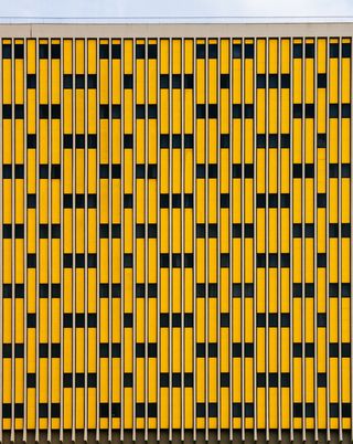 黄色和黑色图案