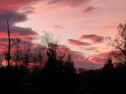 日出，一月，浪漫，天空，红色，云，云-天空，树