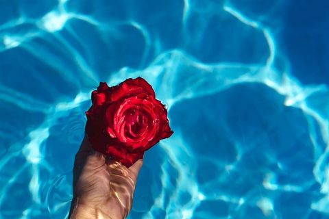 在一个温暖的夏日,一座游泳池的碧水上升起了一座清新的花园 在一个温暖的夏日,一座游泳池的碧水上升起了一座清新的花园