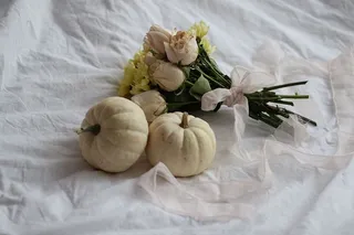 南瓜，布，花，丝带，美丽，白色，装饰，装饰