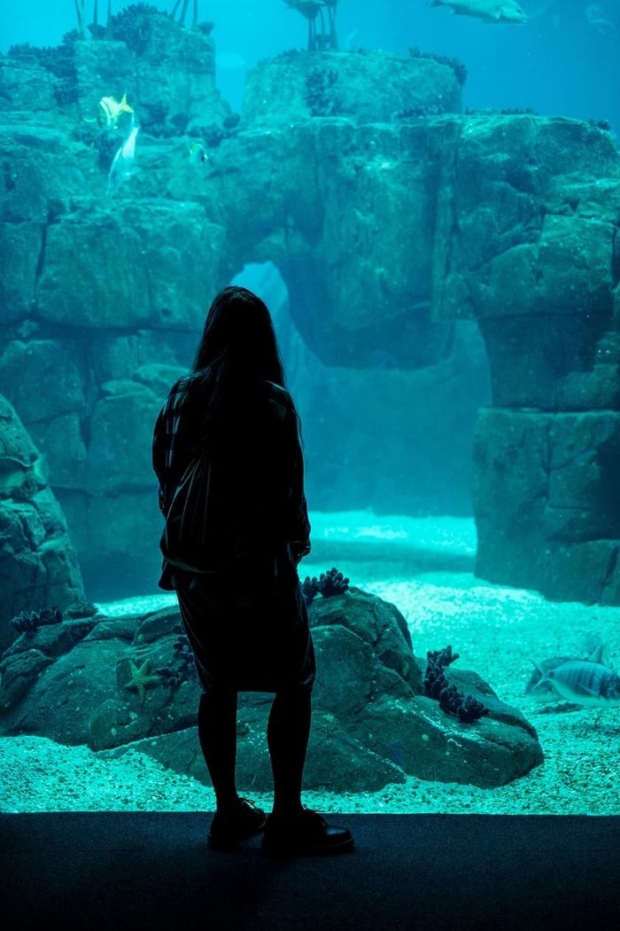 女人，站着，巨大的水族馆，鱼，珊瑚，海星，沙子，蓝色