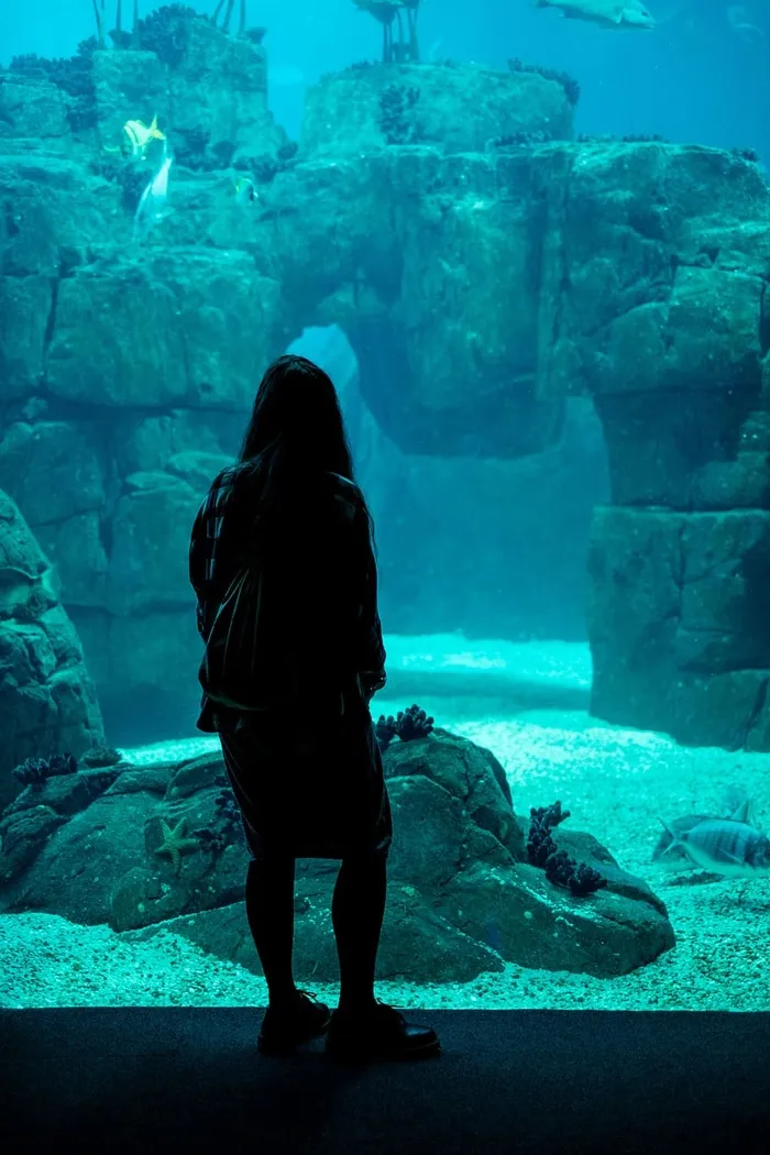 女人，站着，巨大的水族馆，鱼，珊瑚，海星，沙子，蓝色