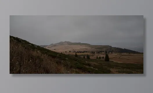 户外、自然、保加利亚、草原、田野、乡村、丘陵、人类 户外、自然、保加利亚、草原、田野、乡村、丘陵、人类