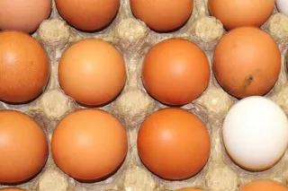 鸡蛋，鸡肉，鸡蛋，食物，营养，复活节，还有春天