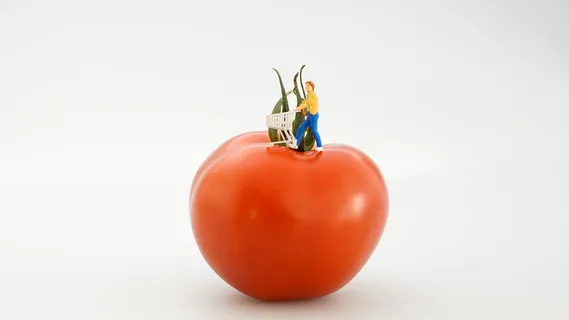 番茄、蔬菜、红色、食品、购物、购物者、购物车、摄影棚拍摄 番茄、蔬菜、红色、食品、购物、购物者、购物车、摄影棚拍摄