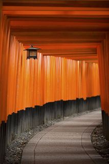 小径、环绕、海湾、橙色、柱子、灯笼、建筑、建筑