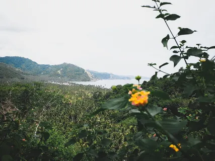 山景 山景