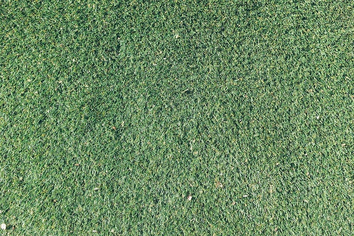 无标题，绿色，草，白天，纹理，自然，户外，阳光