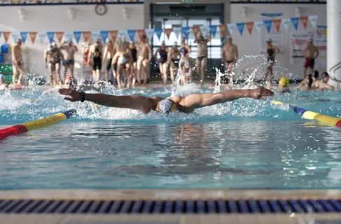 游泳，运动，游泳池，运动，游泳池，人，运动和健身，水