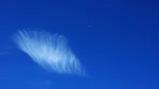 奥地利，蓝色，天空，没有人，自然，云天，动物