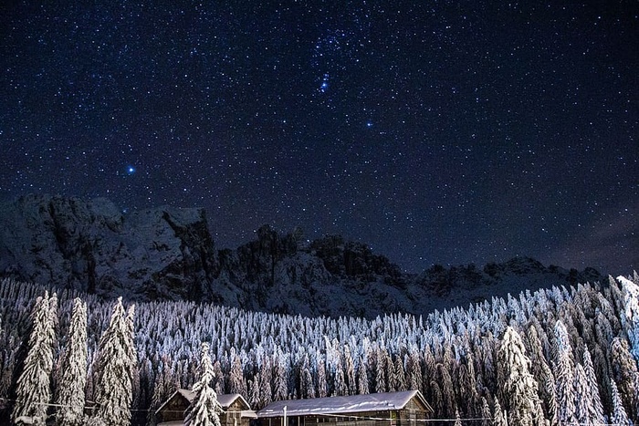 树叶，森林，房屋，山脉，夜晚，松树，天空，雪