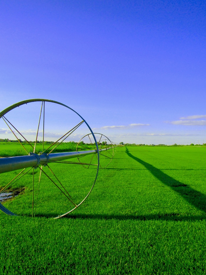 田地，农场，颜色，农场，农村，景观，农业，自然