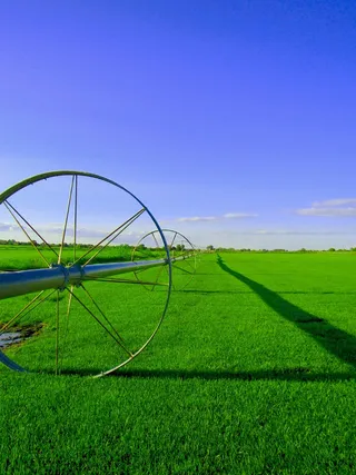 田地，农场，颜色，农场，农村，景观，农业，自然