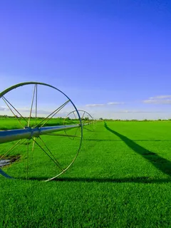 田地,农场,颜色,农场,农村,景观,农业,自然 田地,农场,颜色,农场,农村,景观,农业,自然