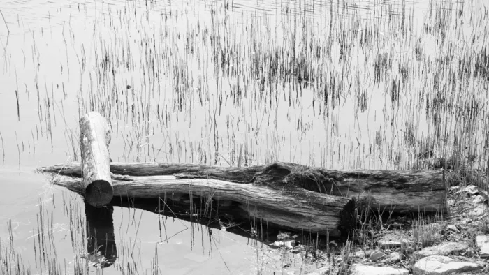 孤独，*，荒凉，推测，我想，图像，图片，和thu