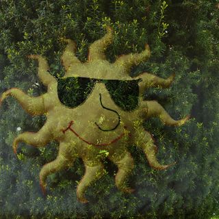 太阳、黄杨木、双重曝光、手工劳动、枕头、水、海底、海洋