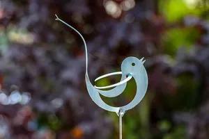 鸟，铝，人物，花园，树叶，装饰品，浅灰色，银色