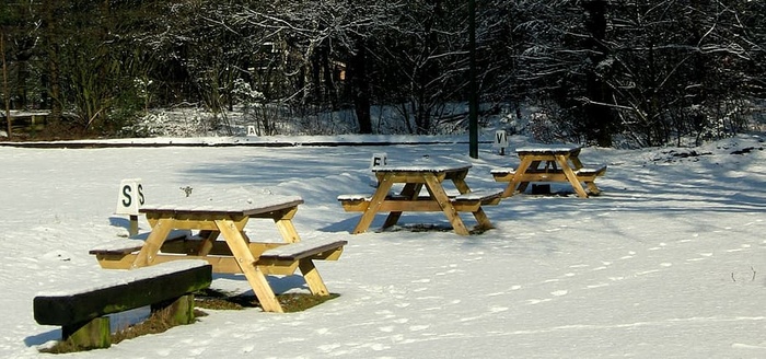 野餐桌，冬天，雪，寒冷的温度，树，座位，自然，植物