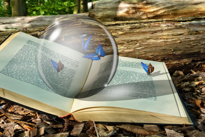 水晶，水晶球，书，蝴蝶，甲虫，虫子，魔术，幻想