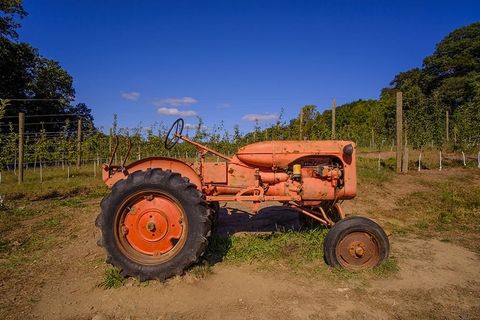 美国卑尔根县农场苹果南瓜采摘新泽西10月